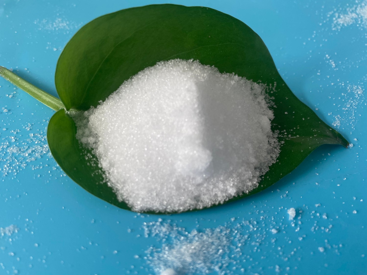 更多產(chǎn)品